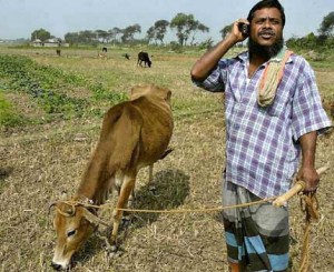 Mobiles have empowered rural India